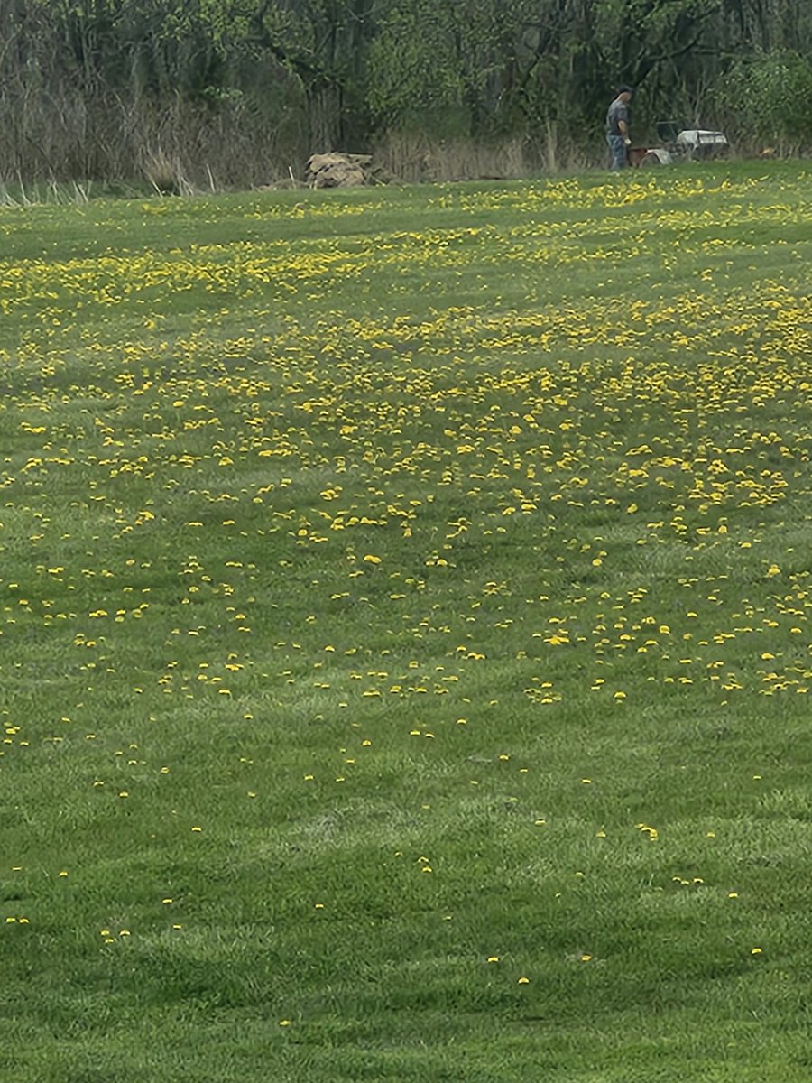 Johnny Cadillac tweet media