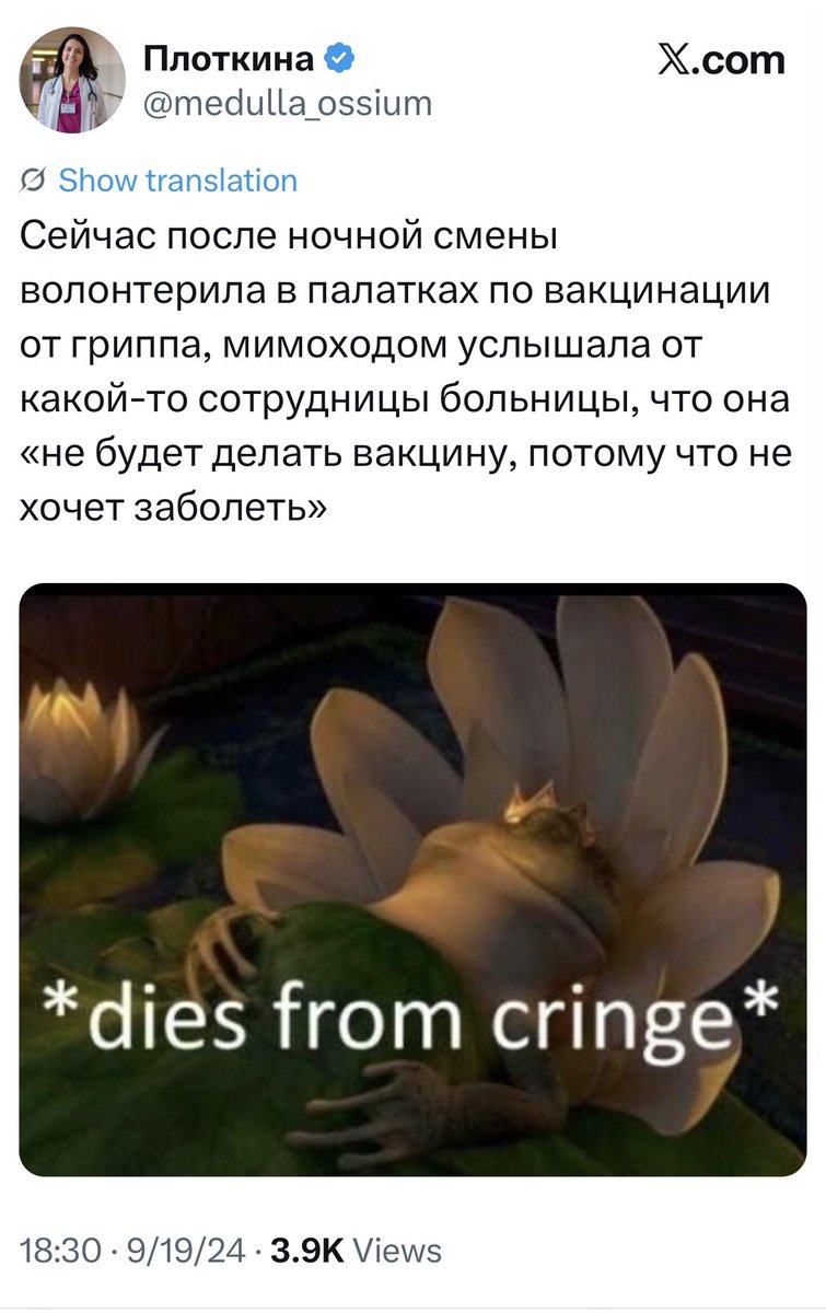 LolloRosso&Frissee tweet media