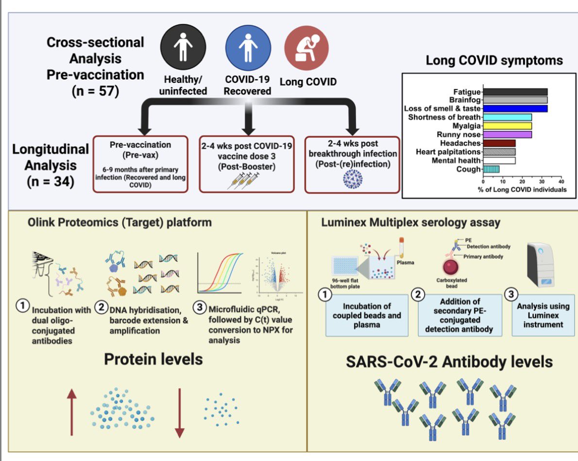 vipintukur's tweet image. #LongCOVID is a condition where symptoms continue for months after a COVID-19 infection, likely due to ongoing inflammation. 

➡️ A NEW study looked at blood proteins related to inflammation and the nervous system to understand how the body responds after vaccination or