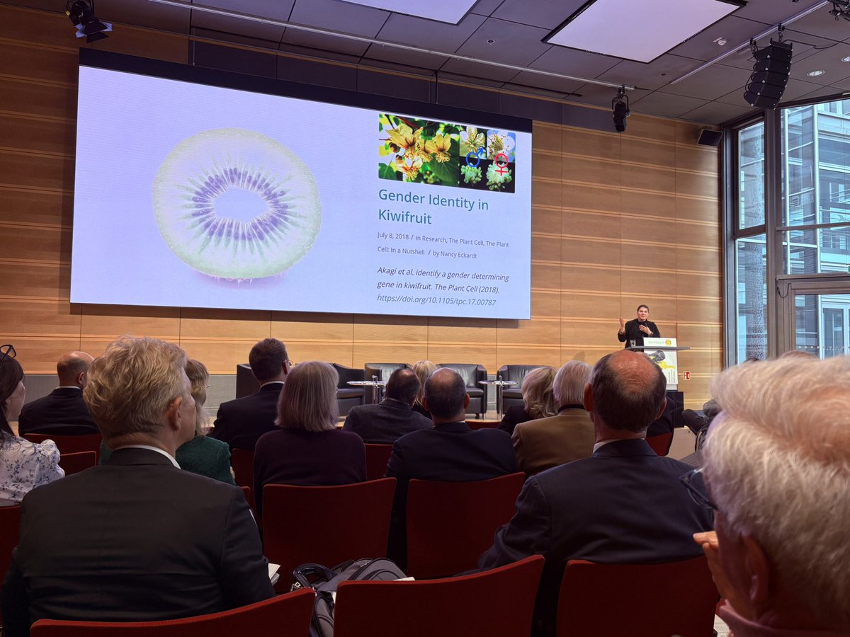 Judith Sevinc Basad tweet media