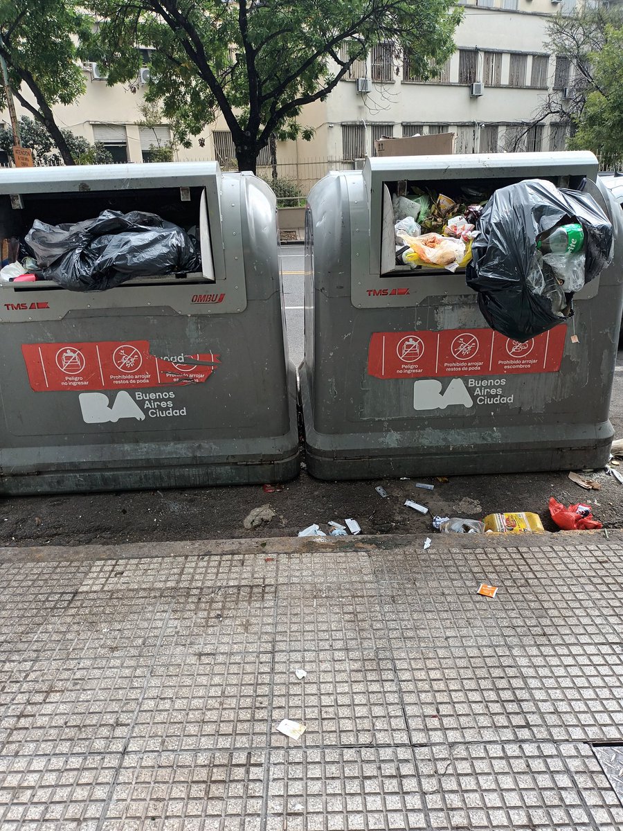 Guillermo Sueldo tweet media