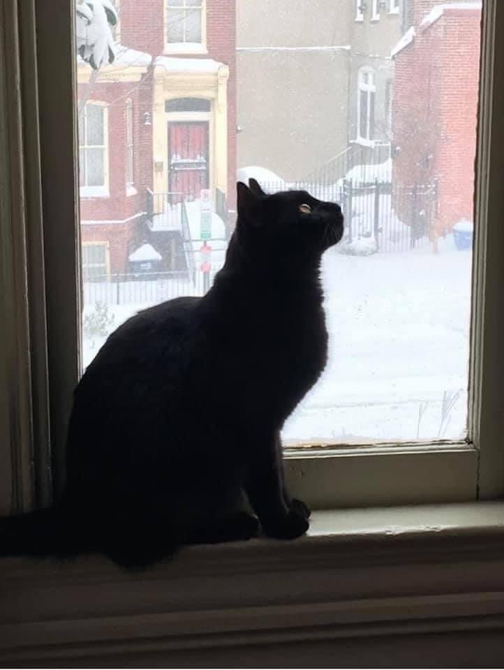 LORI SAXON tweet media