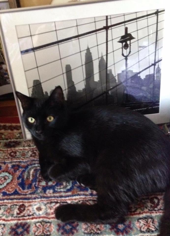 LORI SAXON tweet media