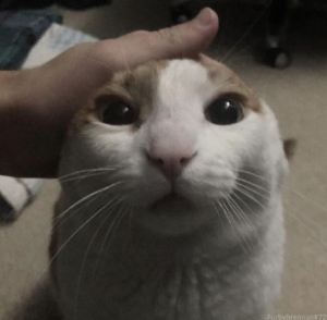 TheMokaTora's tweet image. Petting my Lloyd and Nya designs before they get permanently changed due to the fortnite collab