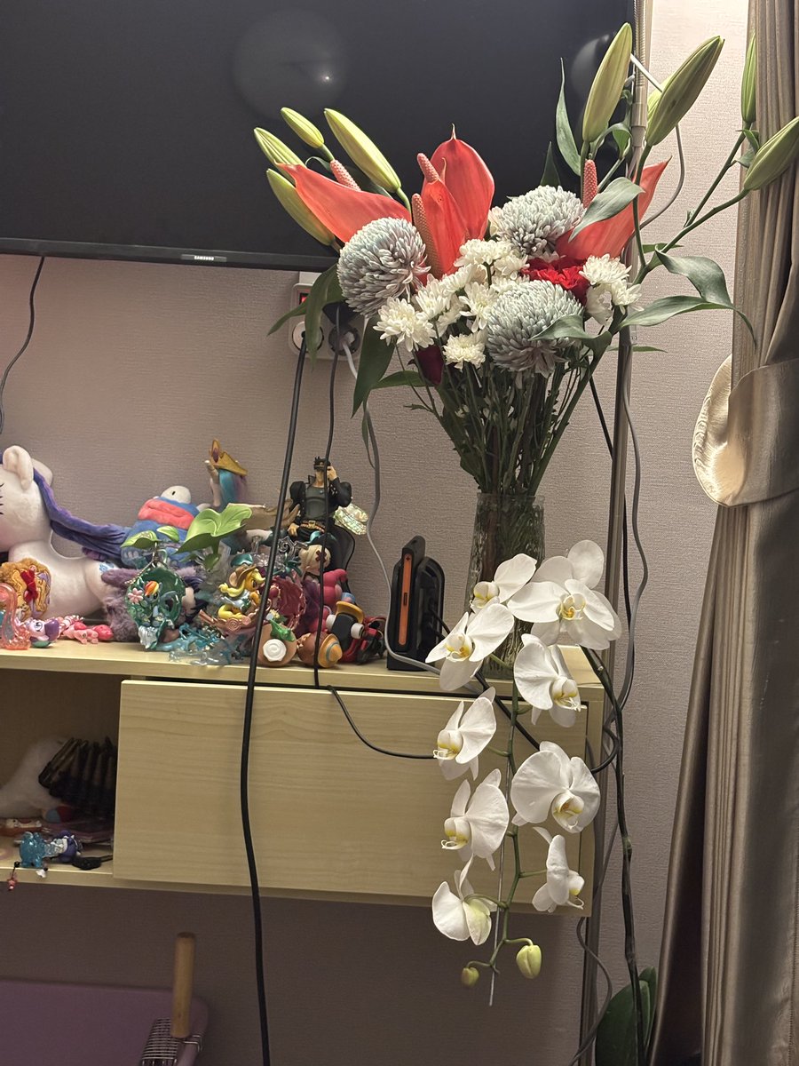 cant wait for the lilly to bloom🤍