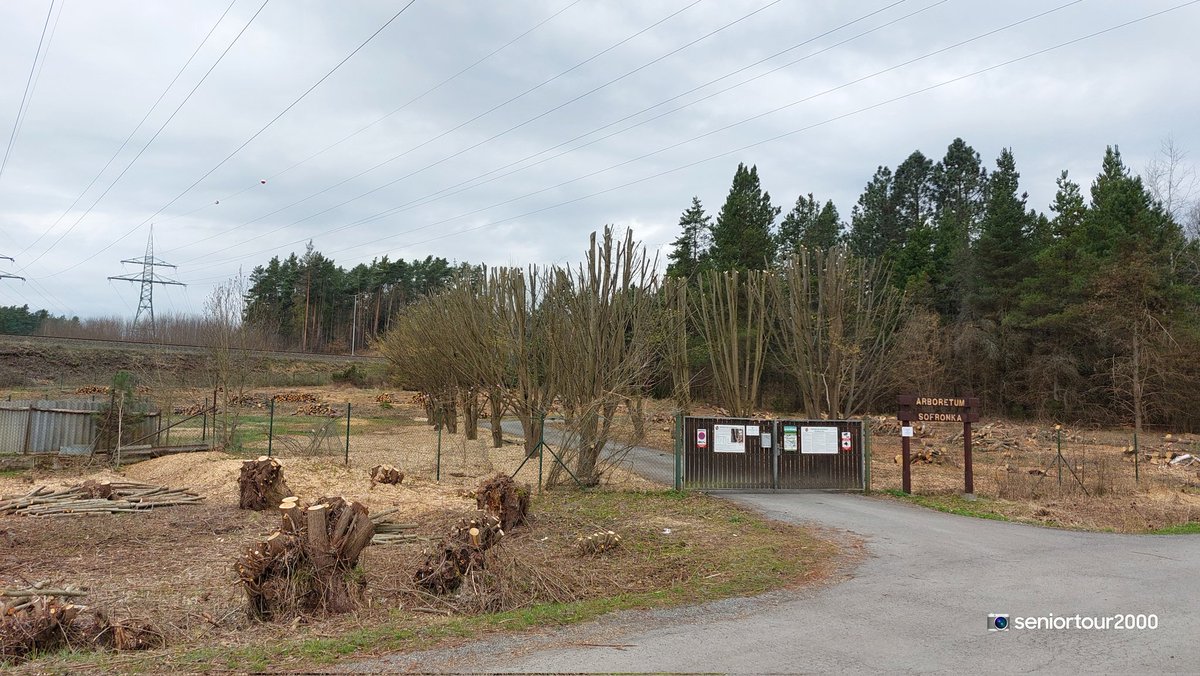 seniortour2000's tweet photo. Nedalo mi to a vyrazil jsem cestou na Sofronku přesvědčit se na vlastní oči..nebyl to dobrý nápad, srdce i oči zaplakaly 🙈 #ArboretumSofronka #Bolevec #Plzen
https://t.co/1MYNXv8u5v https://t.co/Mo75OICfGT