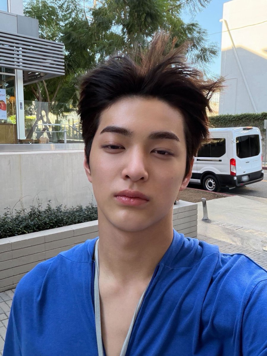 ⊹nelle tweet media