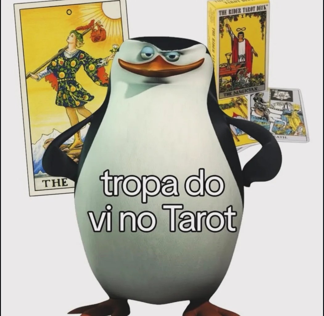 𝓢zᥲ 𝓣ᥲr᥆t | 𝓜esa 𝓐berta. tweet media