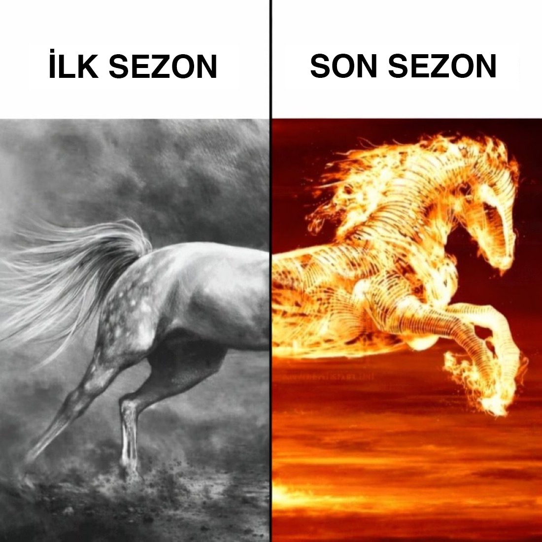 Goldenbahis tweet media