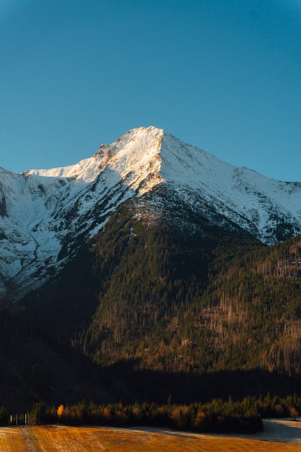 Kevin Salinas tweet media