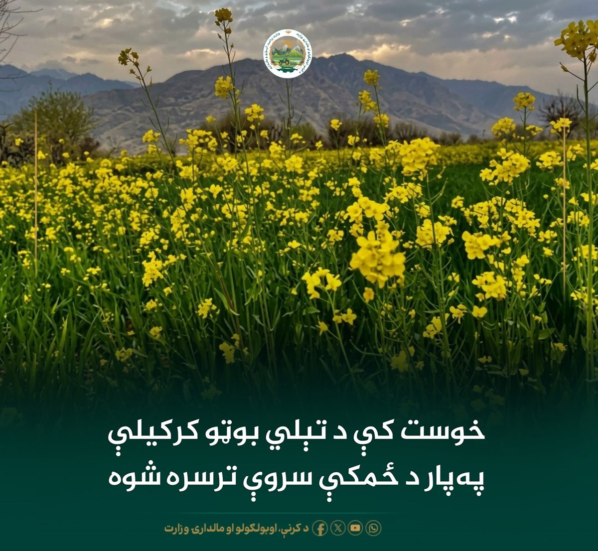 Omar khalid tweet media