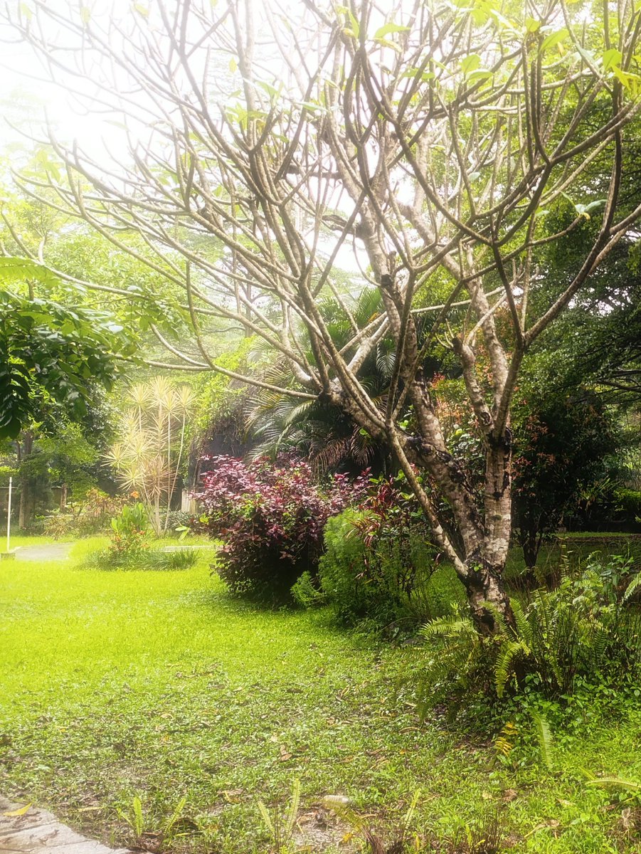 melihat makhluk lain di semesta ini, supaya ingat bahwa hidup bukan hanya pada benda pipih yang setiap hari dipegang 🎍