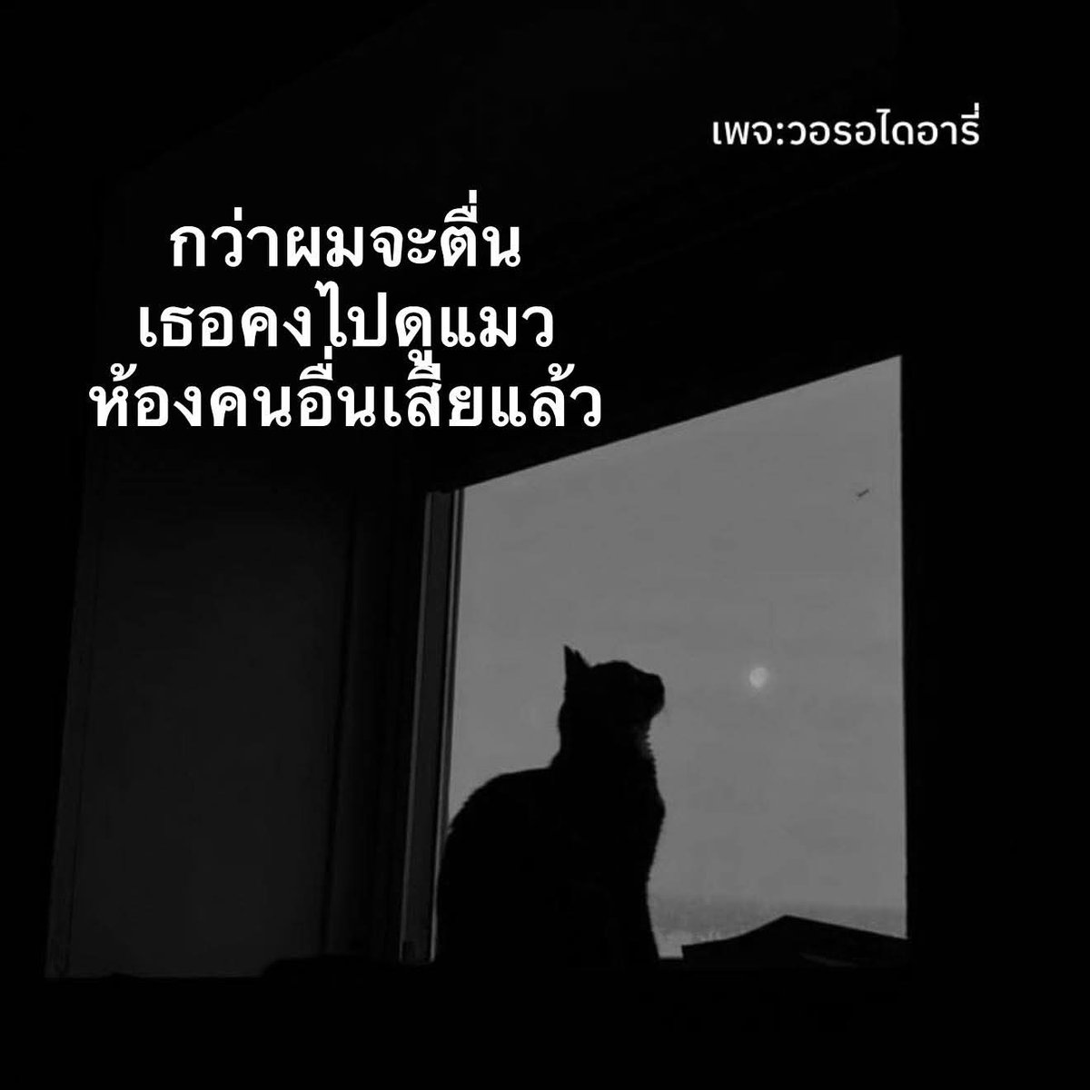 💜พี่เสธ.-เสแสร้ง💜 tweet media