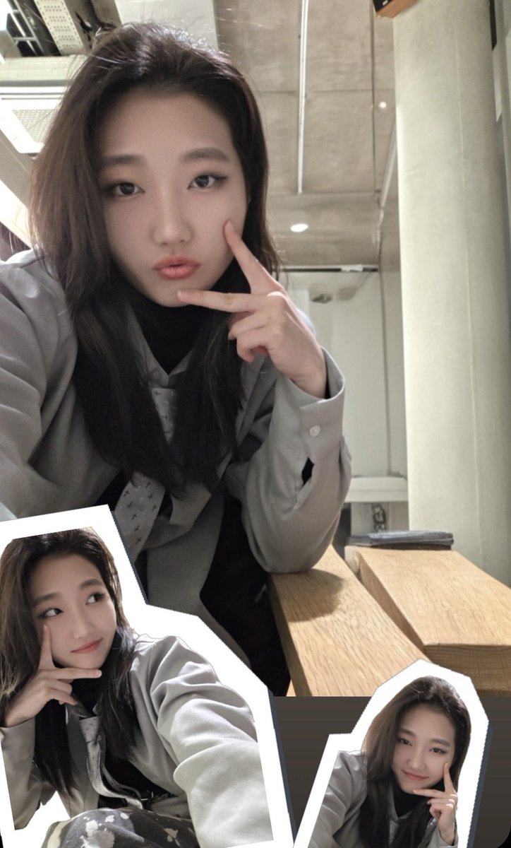 푸들들 / 5일페, 플엑 토 일 tweet media