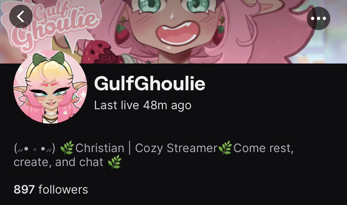 FleischerVT✝️/hiatus tweet media