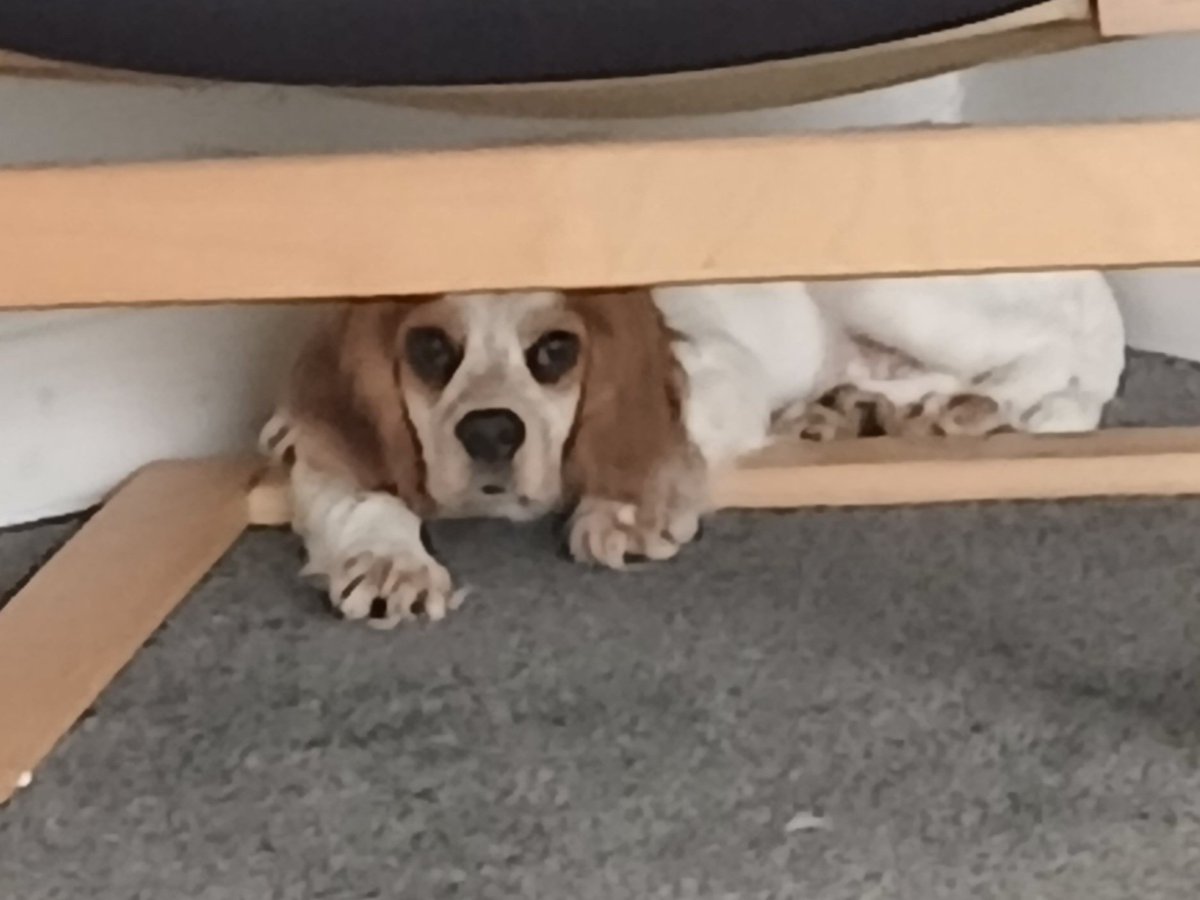 Leeds Fella : Slava Ukraini 🇺🇦 🇬🇧🇨🇦🇲🇽🇪🇺 tweet media