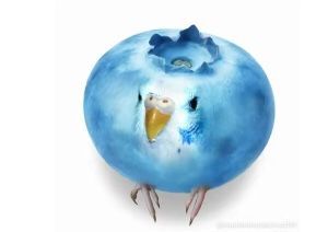 ‏×÷+-@ tweet media