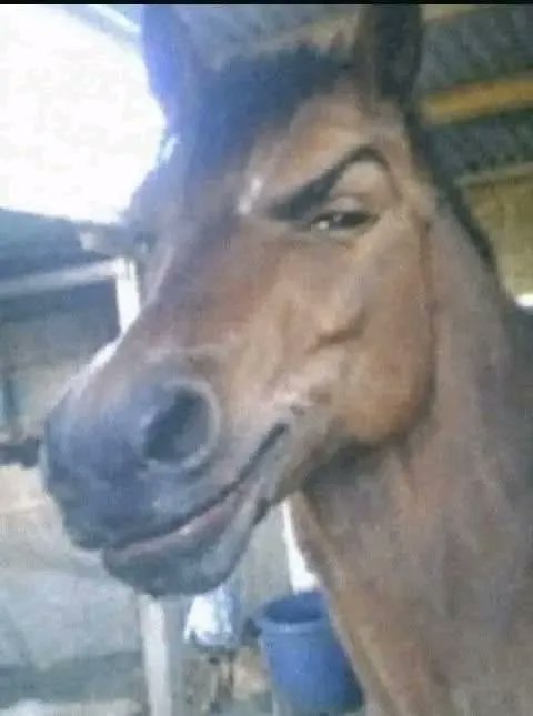 Hero Garcia tweet media