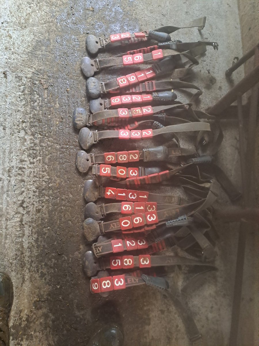 Sligorobotman's tweet image. Another bad day #tb #bloods