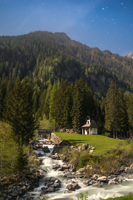 Jaclyn Sanders tweet media