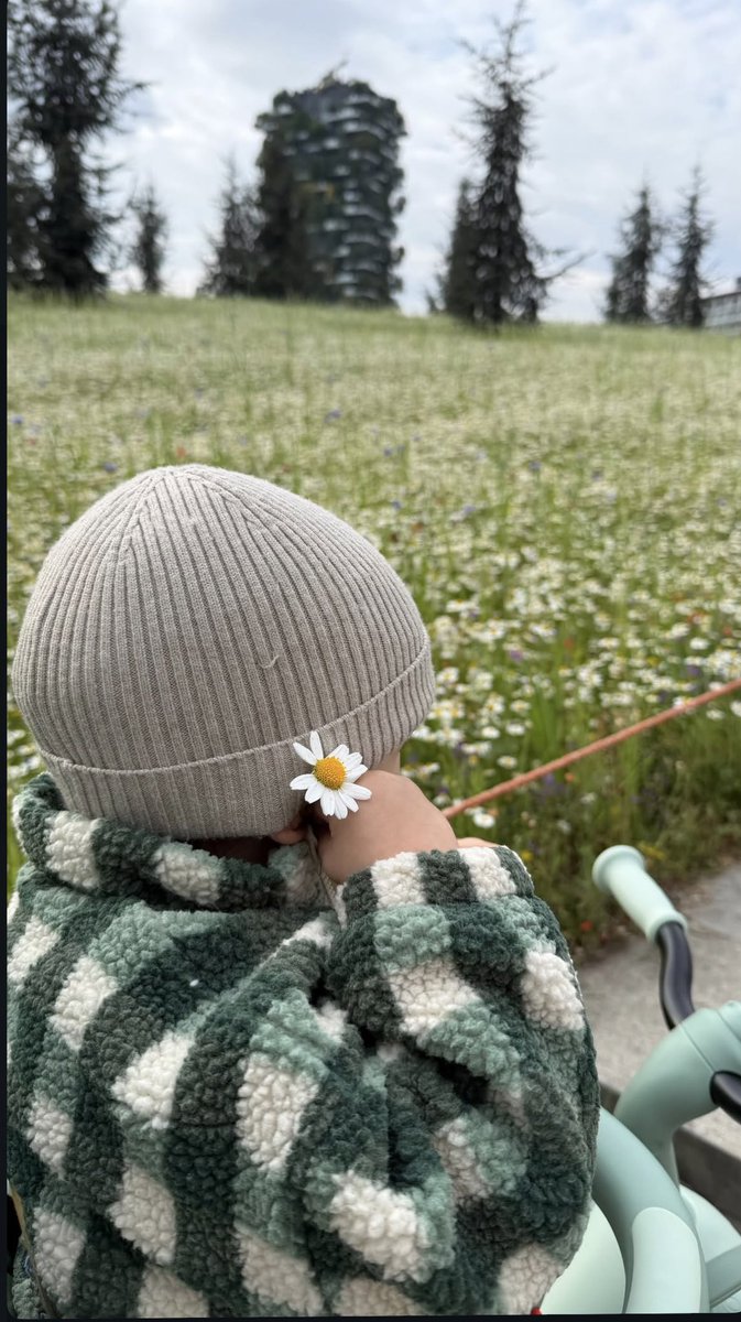 Pierpaolo Pretelli Team tweet media