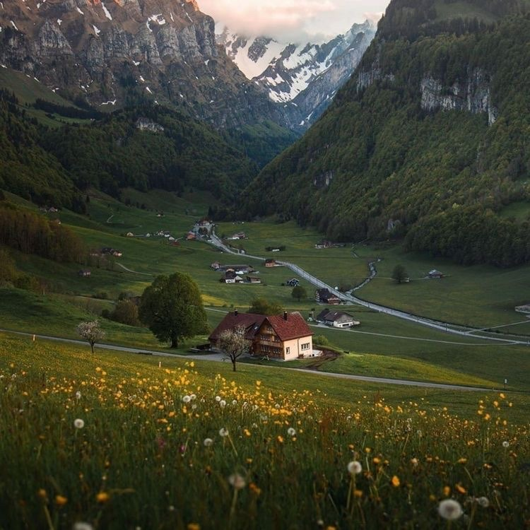 PARSIFEL tweet media