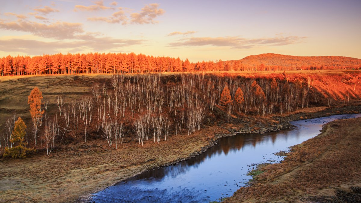 Murad Simre tweet media