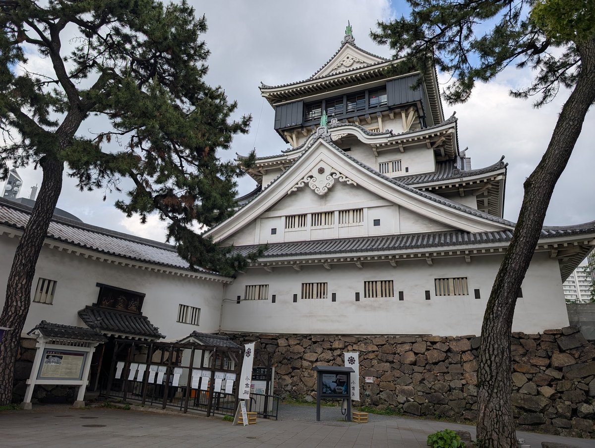 梅高みな美 tweet media