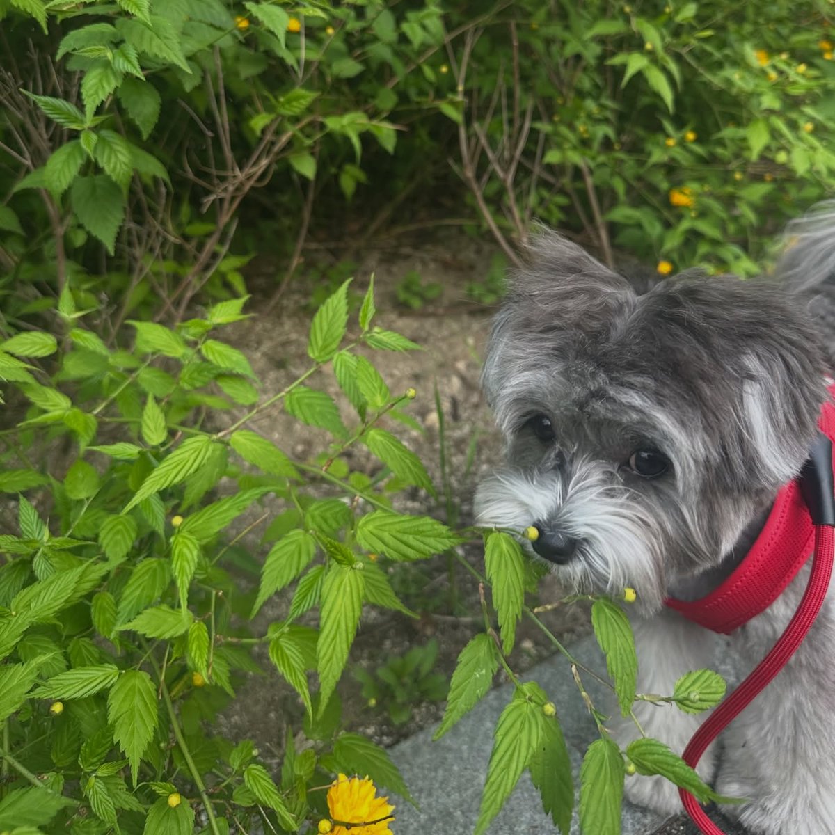 SB연구소 조교 tweet media