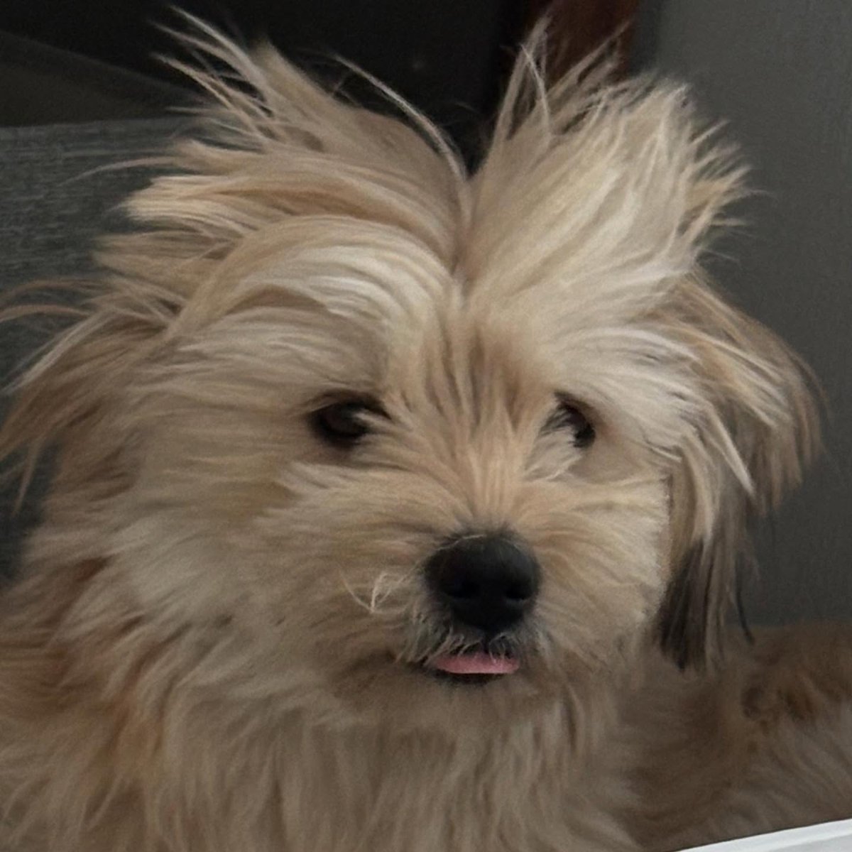 SB연구소 조교 tweet media