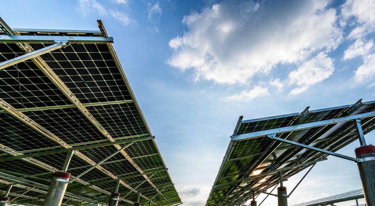 Fundación Elecnor tweet media