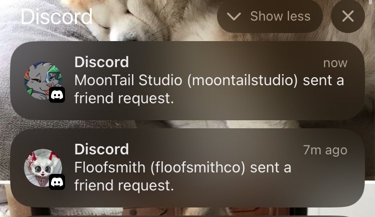 shibarisans's tweet image. i make one furry post and suddenly they requesting my disc… i aint even give them it