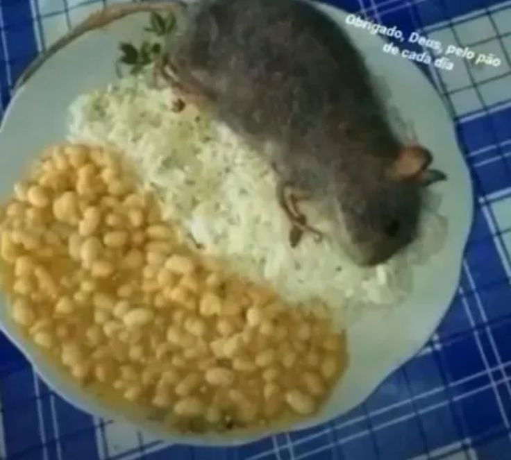 soof jurídico minato | au's fix tweet media