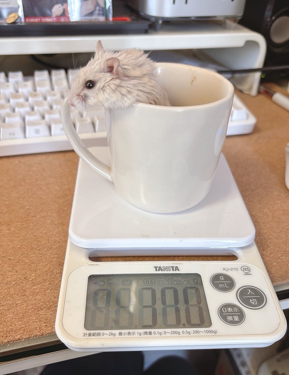 kibiham225's tweet photo. ﾆｮｷ https://t.co/PGD34A4OKF