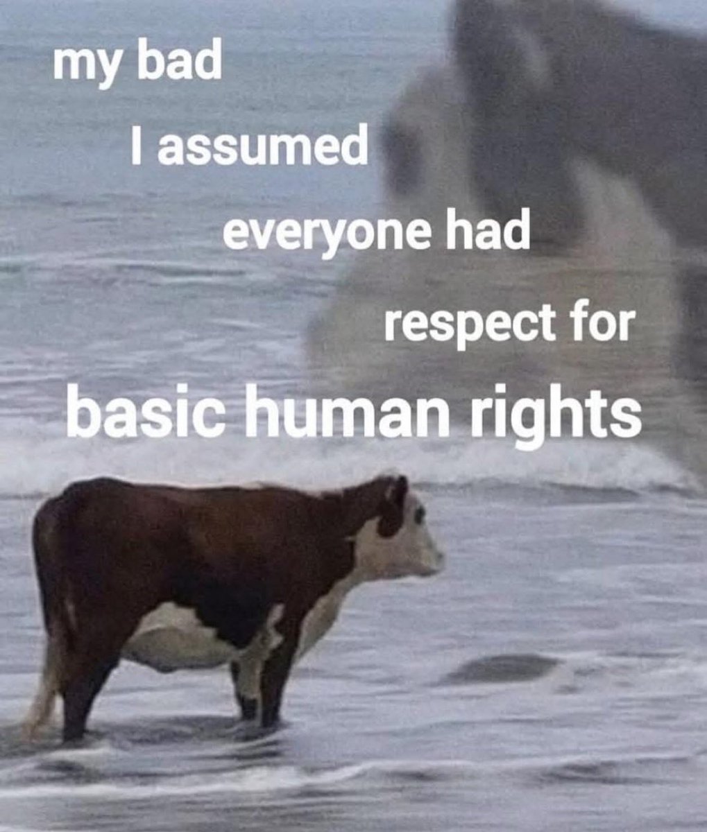 danielle (pirate queen) 🏴‍☠️ tweet media