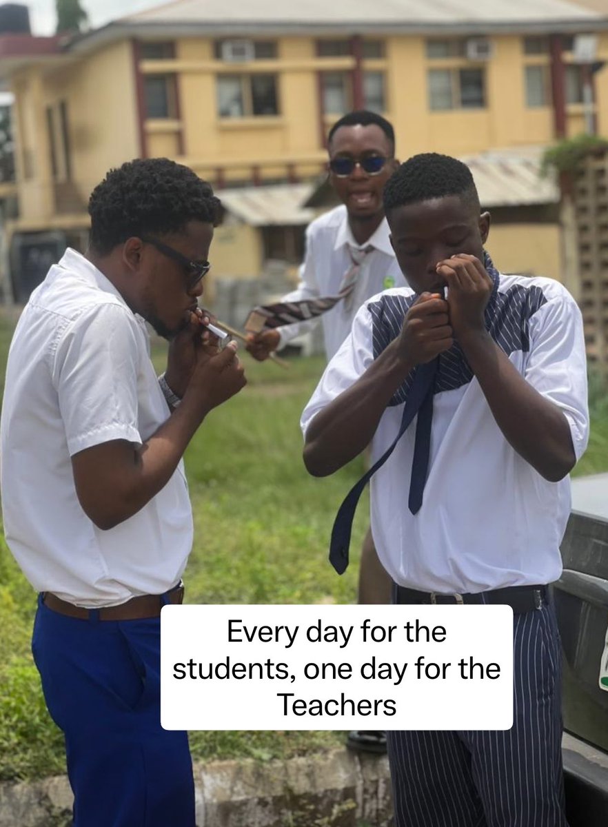 Tochison 📈👨🏽💻 tweet media