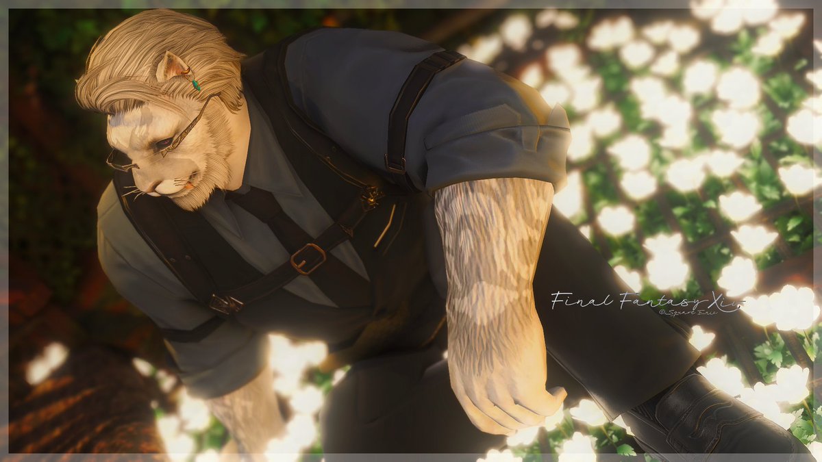 chappy_FF14's tweet photo. #おはガル #ST_KEDAMA #ロスガル
おはよーですわ!
今日はほぼ一日中雨らしくて少しうっとい気分…
夜には予定が入ってなかったはずだし、何か楽しみを入れて、それめがけて頑張るようにしてみようかな…? https://t.co/5jDFXJm6nv