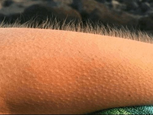 Max Berlinger tweet media