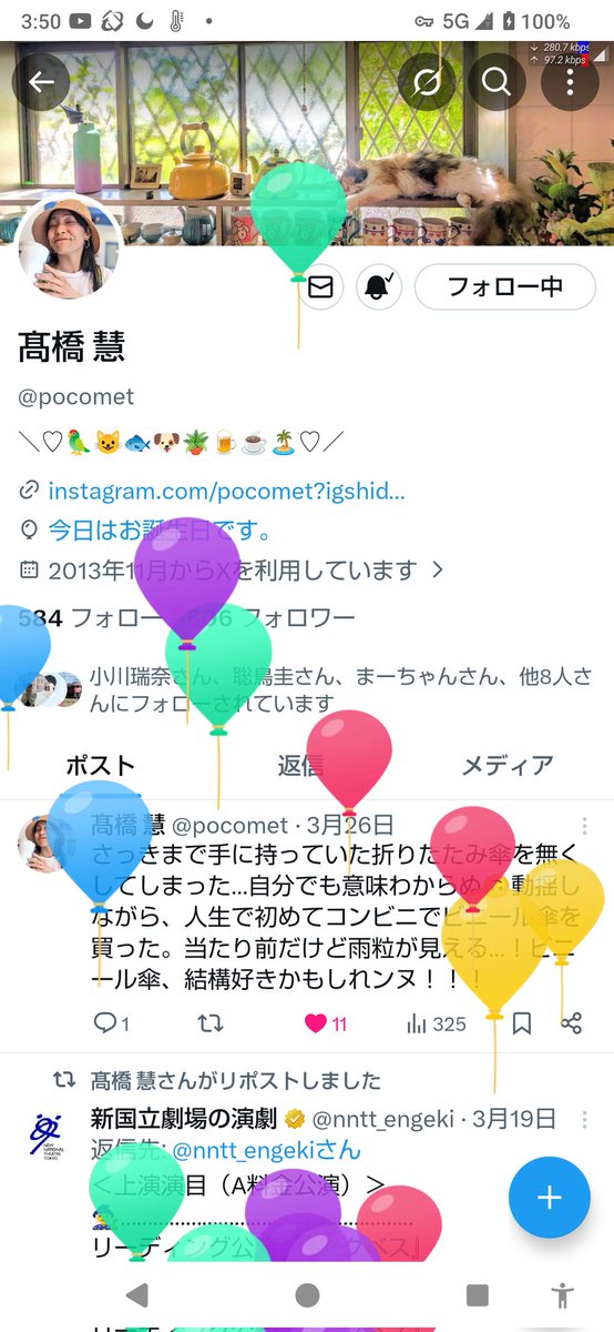 まーちゃん tweet media