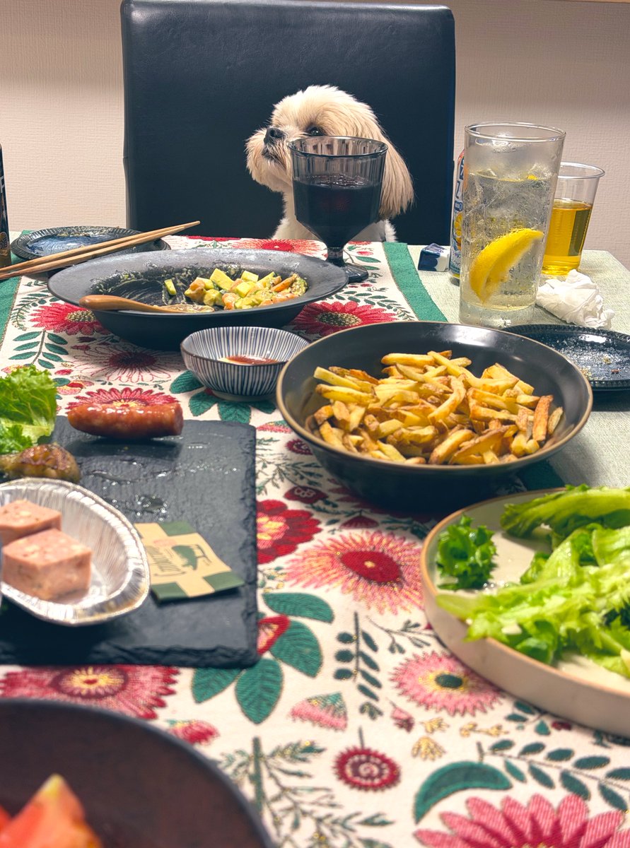 1人で食べ切れず、先輩の家に持ち込んでパーティした🎈🐶美味
#きゅるして #きゅるして島根山口旅