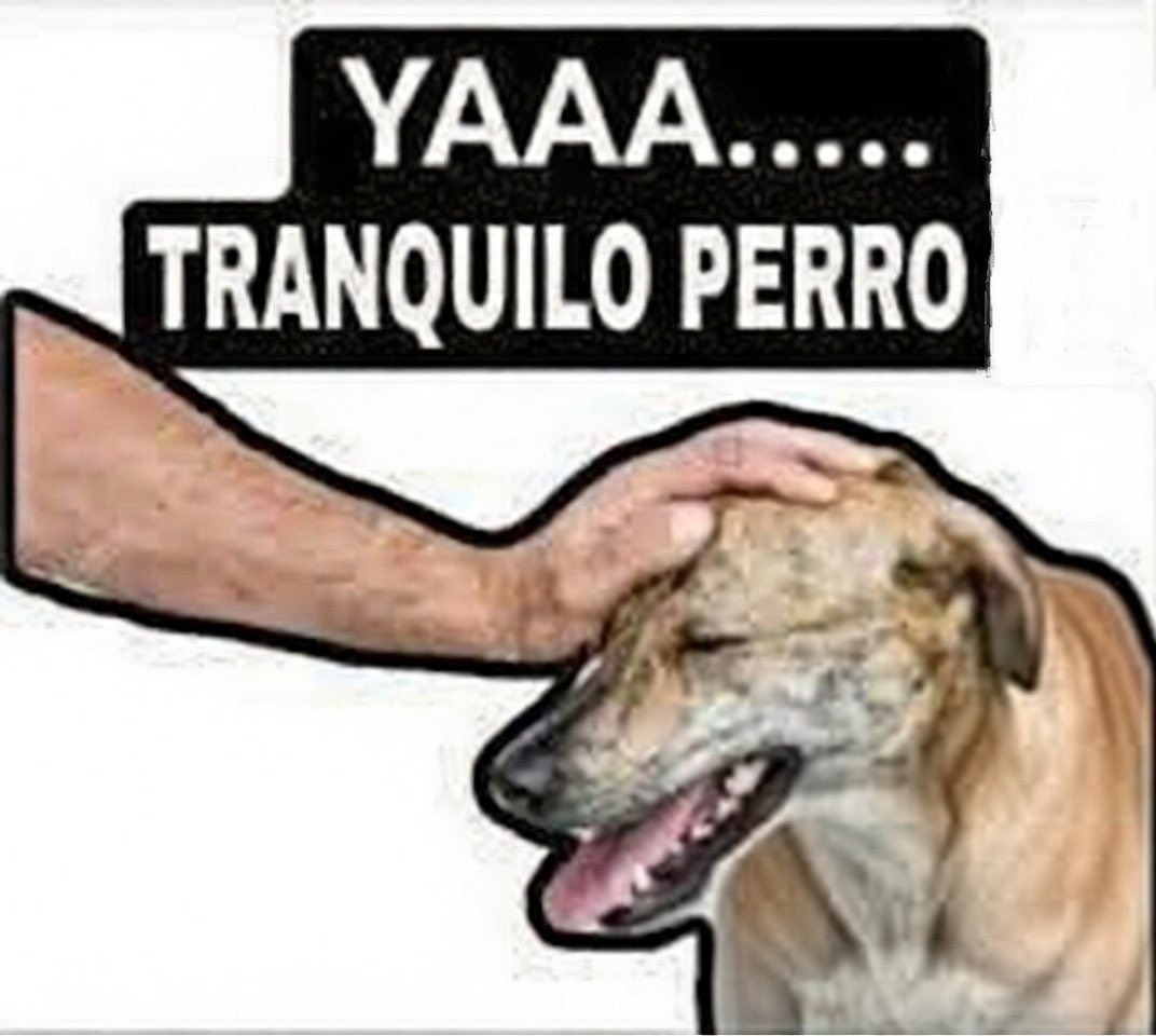 Daniel Fernando tweet media