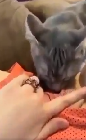 Marshdon Leif tweet media