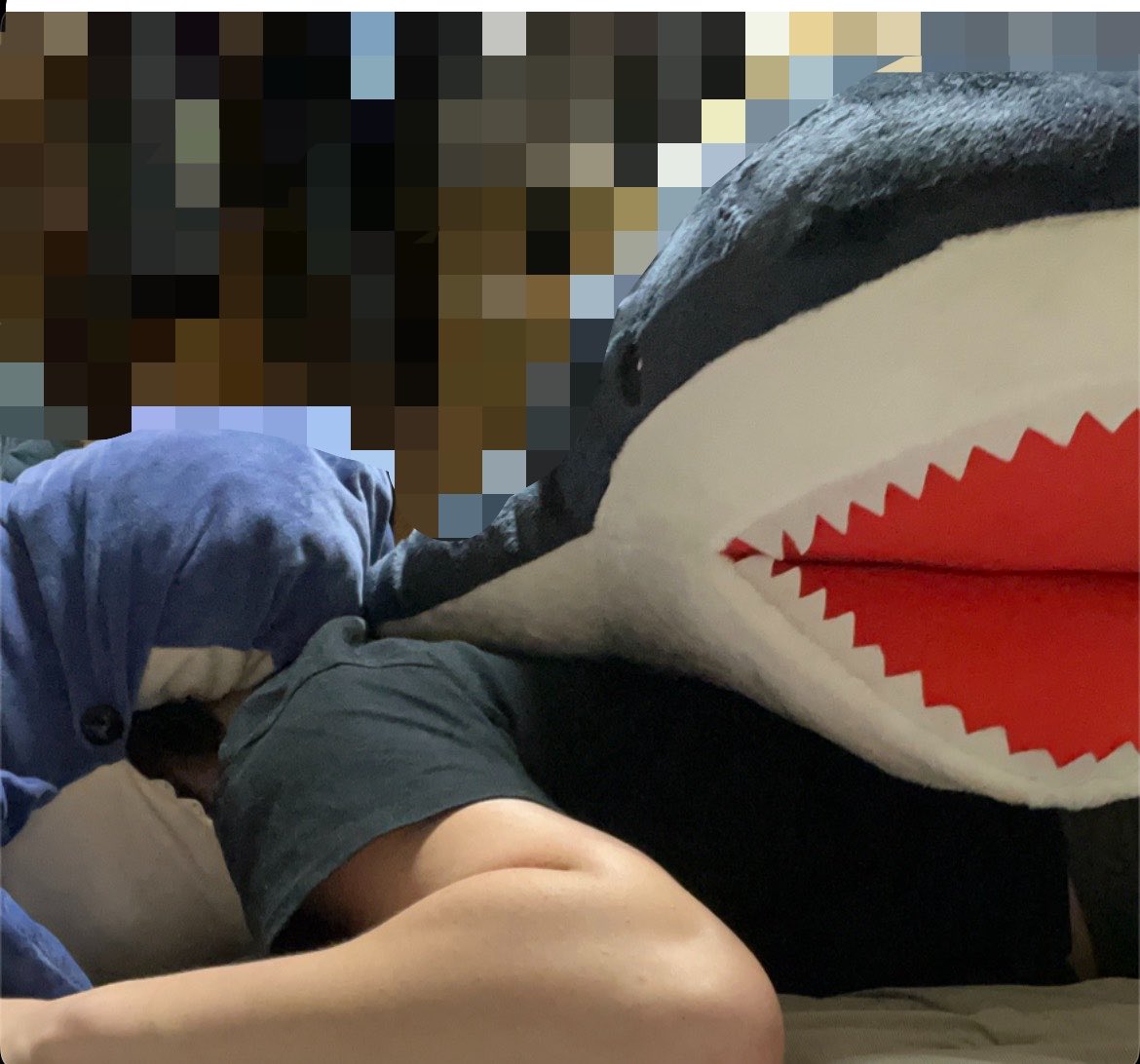 りくゴン tweet media