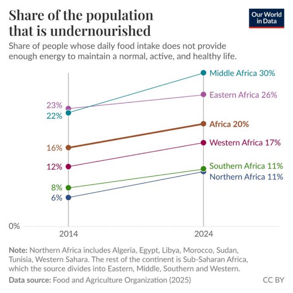 Alice Evans tweet media