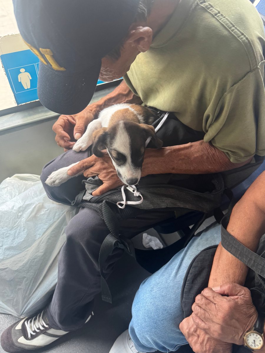 RANCHERO tweet media