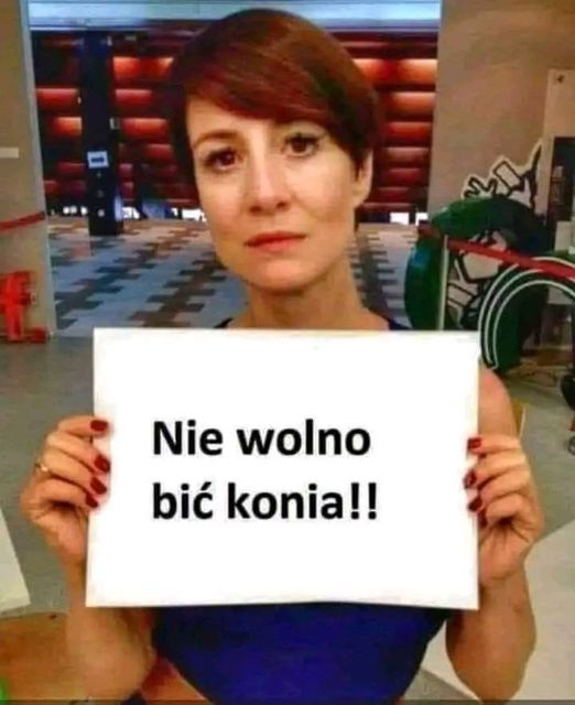 🅰️rcy Łobuz 🅿️olski 🇵🇱 , 🇳🇱 tweet media