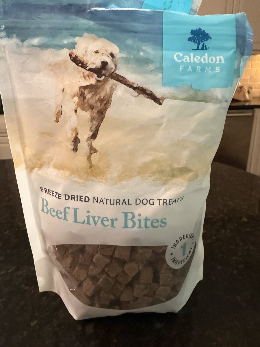 Phil Holloway ✈️ tweet media