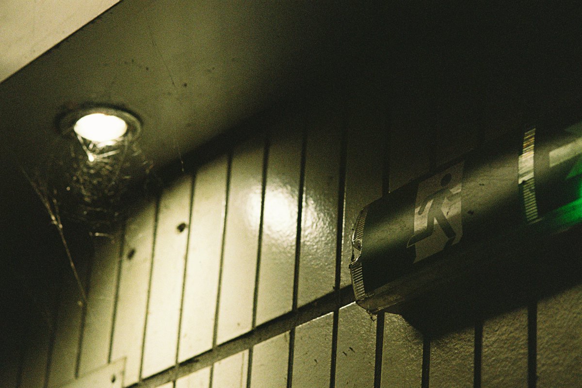 elle 🐇 tweet media