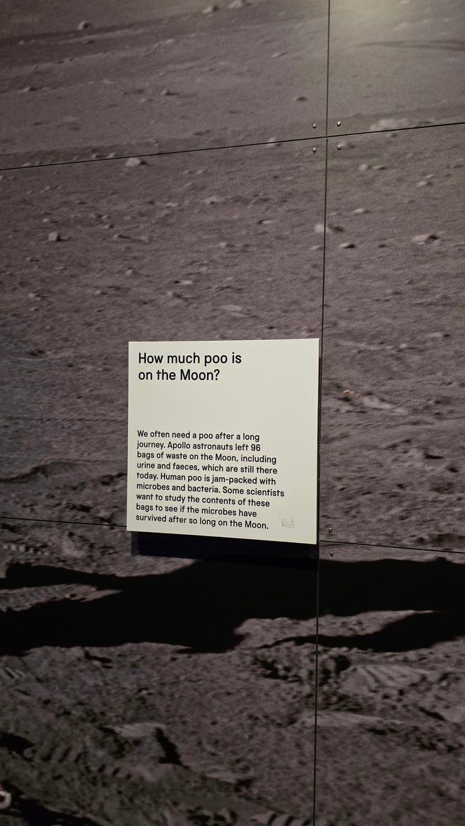 bell ☄️ tweet media