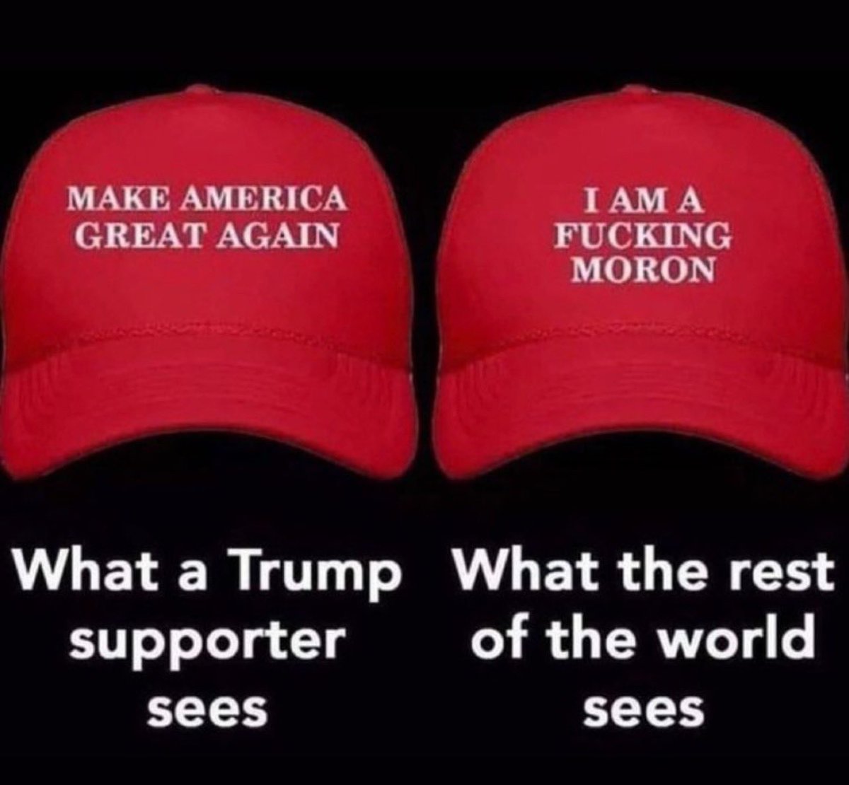 Kashmanchew II tweet media